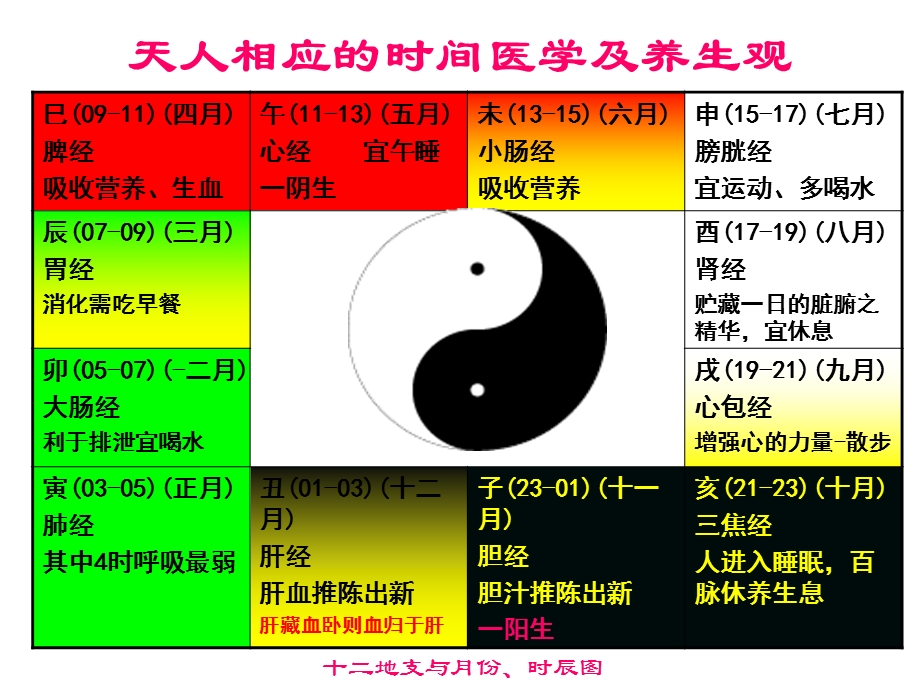 人体阴阳五行八卦之看图说话.ppt_第2页