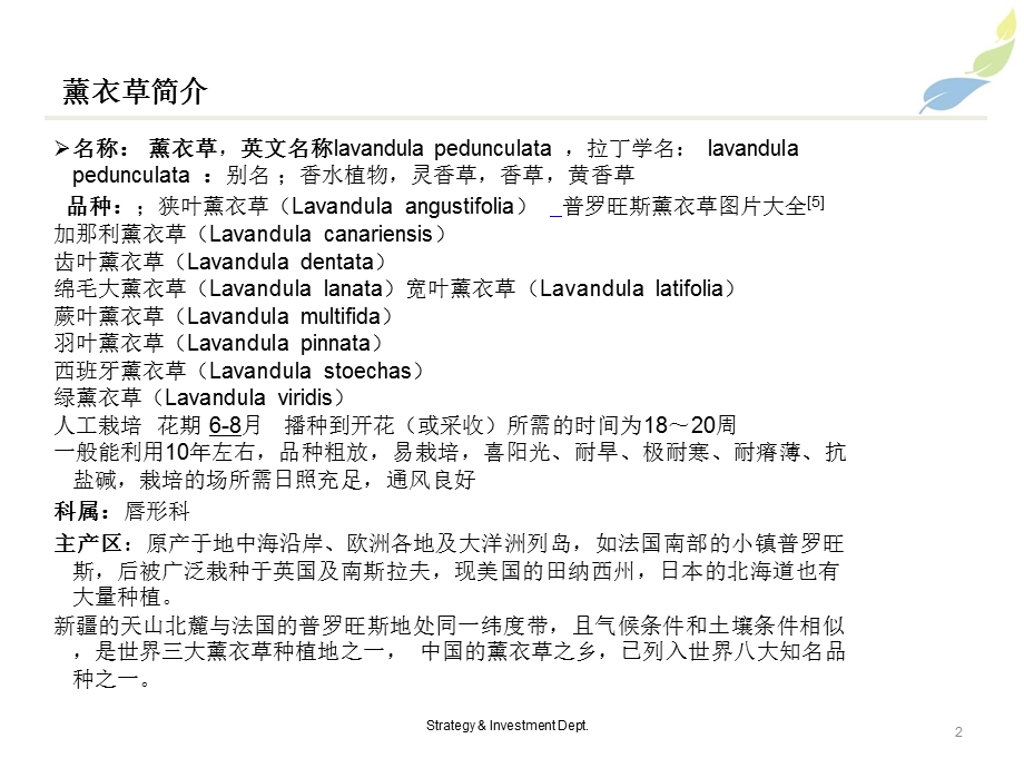 新疆薰衣草开发方案.ppt_第3页