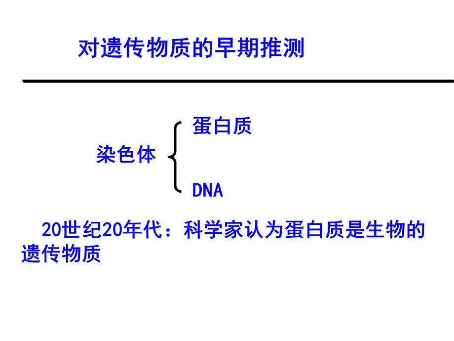 DNA是主要的遗传物质.ppt_第3页