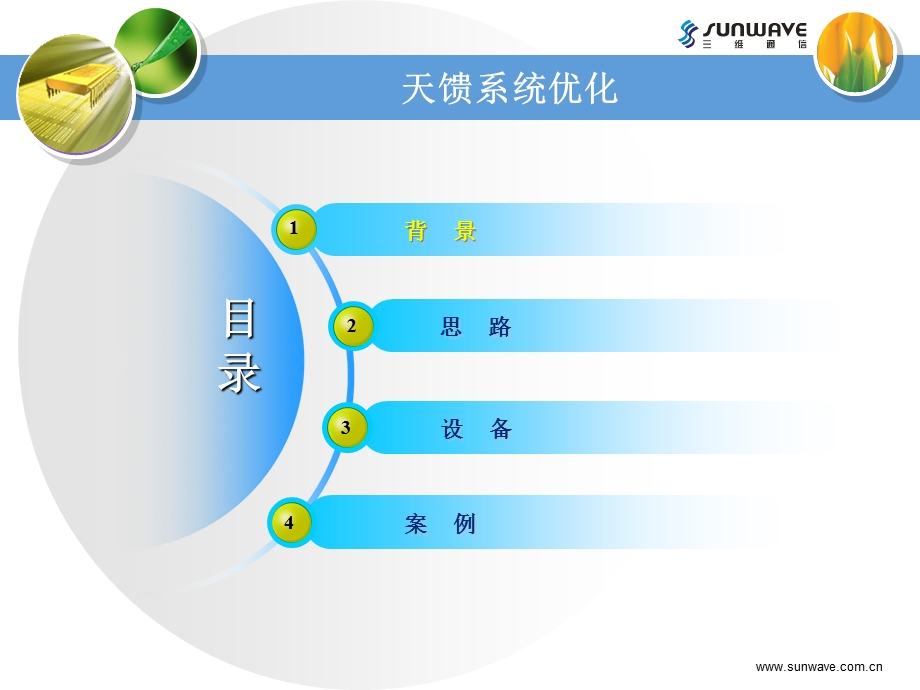 2G、3G天馈优化整体解决方案.ppt_第2页