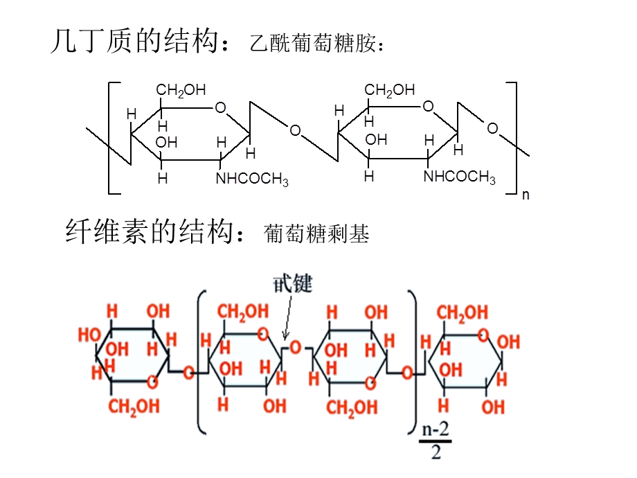 壳聚糖.ppt.ppt_第3页