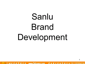 麦肯光明三鹿品牌发展规划Sanlu Brand Development.ppt