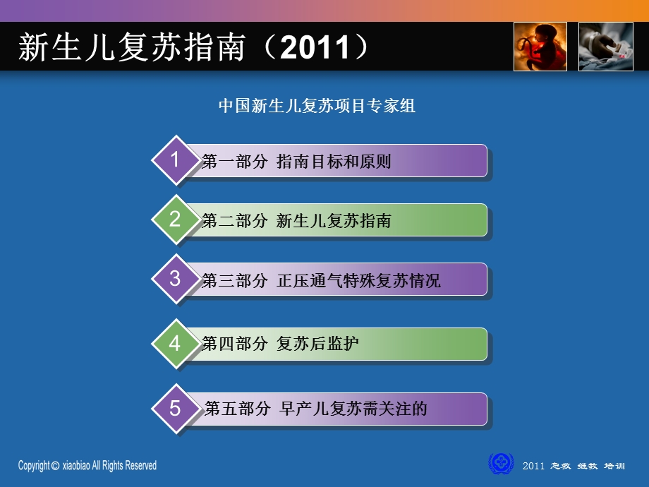 解读新生儿复苏指南.ppt_第2页
