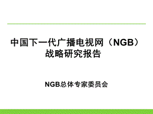 NGB战略研究报告.ppt