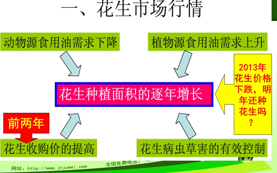 河南花生高产全攻略.ppt_第2页