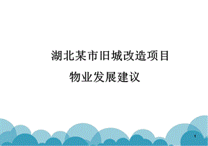 某市某旧城改造项目社区物业发展规划书(PPT版).ppt