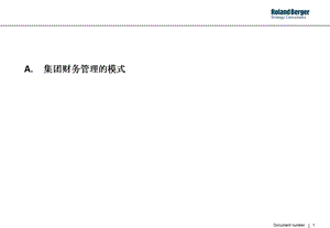 罗兰贝格集团财务管理模式.ppt