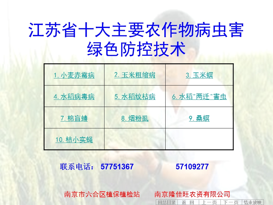 江苏省十大主要农作物病虫害绿色防控技术.ppt_第2页