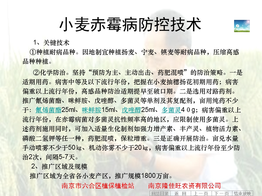 江苏省十大主要农作物病虫害绿色防控技术.ppt_第3页