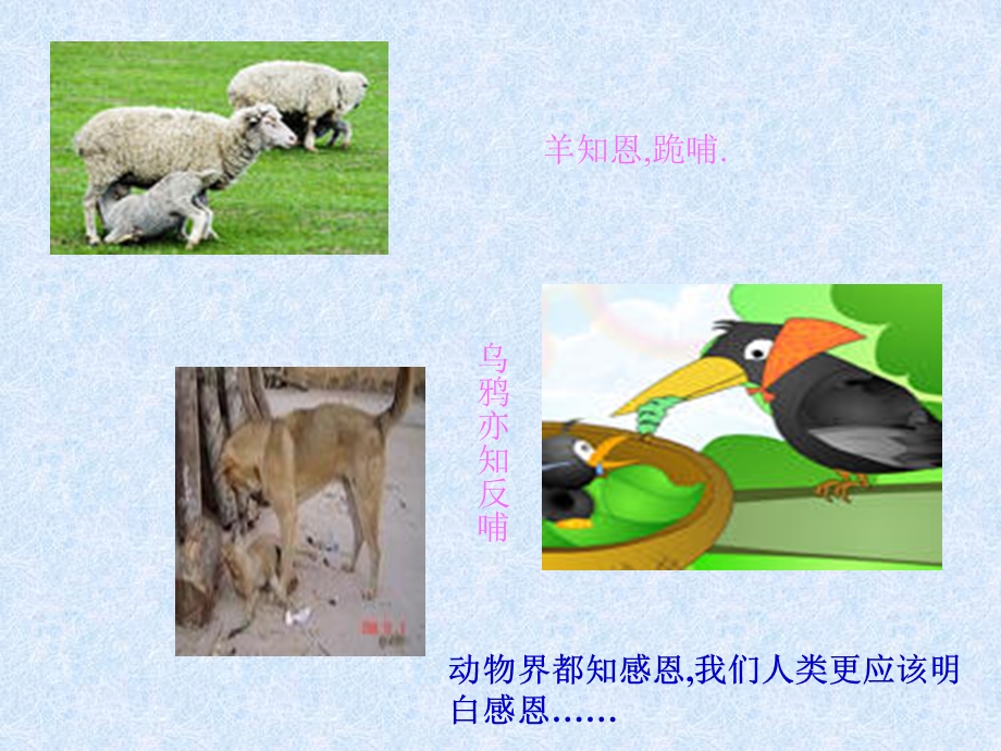 算算亲情账感知父母恩(PPT16).ppt_第3页