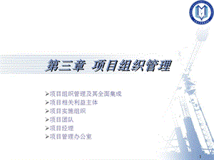 项目型组织结构.ppt