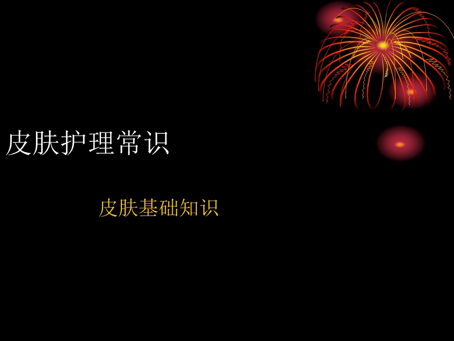 美容教案.ppt_第2页