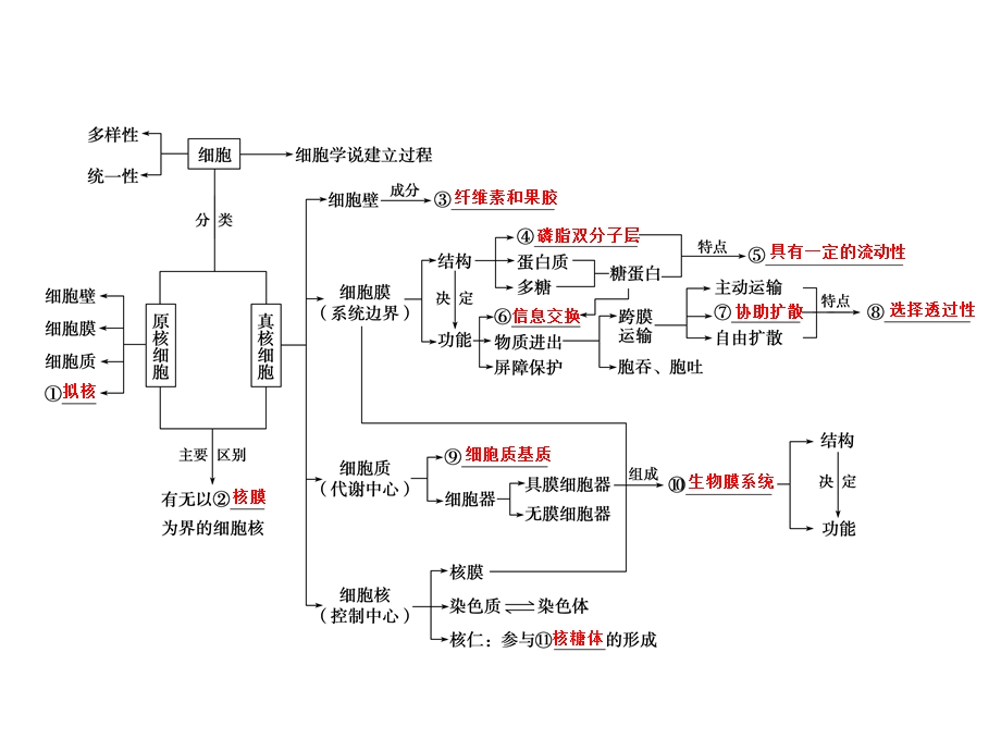 专题2：细胞的结构.ppt_第3页