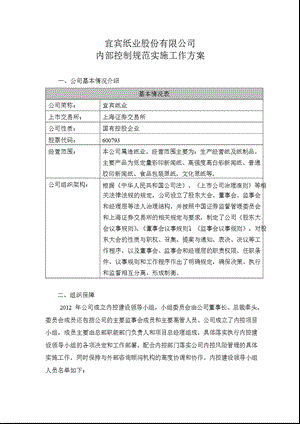 600793 ST宜纸内部控制规范实施工作方案.ppt