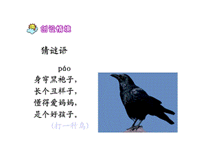 人教版小学语文《19乌鸦喝水》课件.ppt