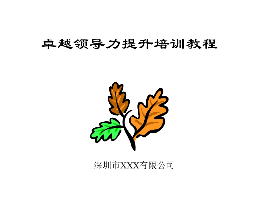 卓越领导力提升培训教程.ppt_第1页