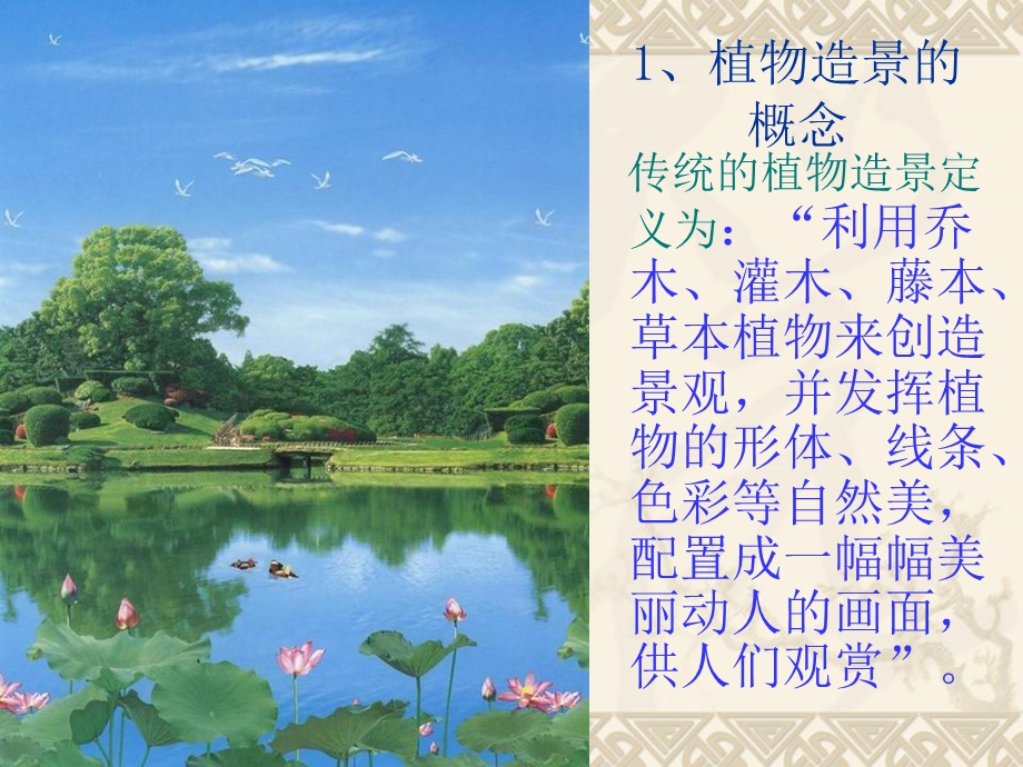 浅论当代植物造景的特征与发展.ppt_第2页