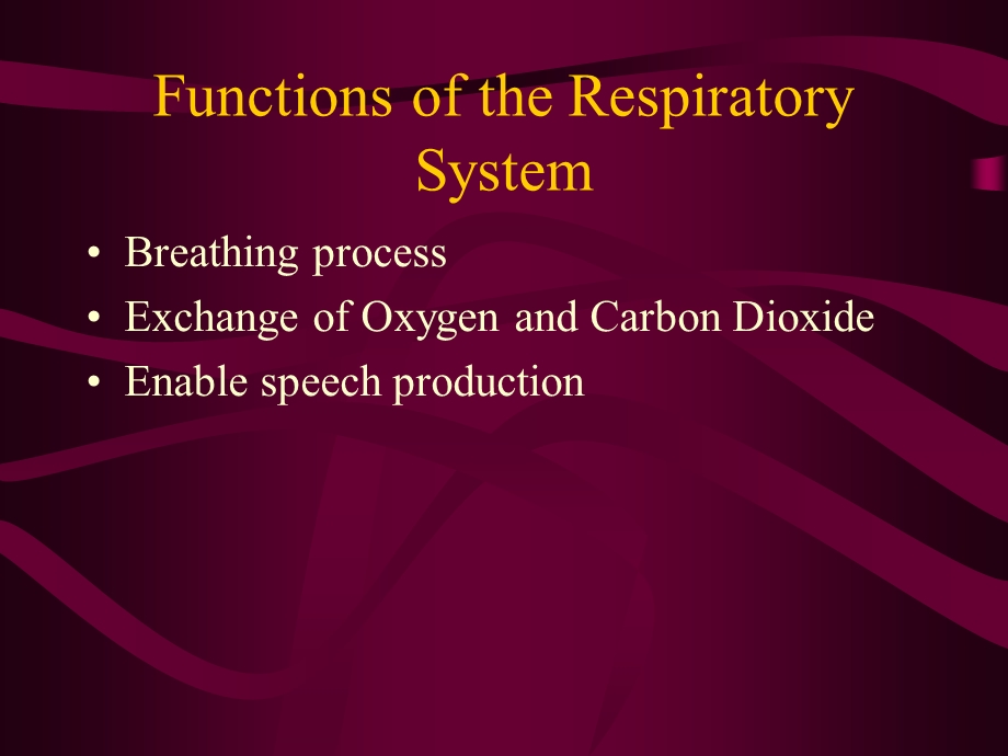 respiratory terminology医学英语.ppt_第2页