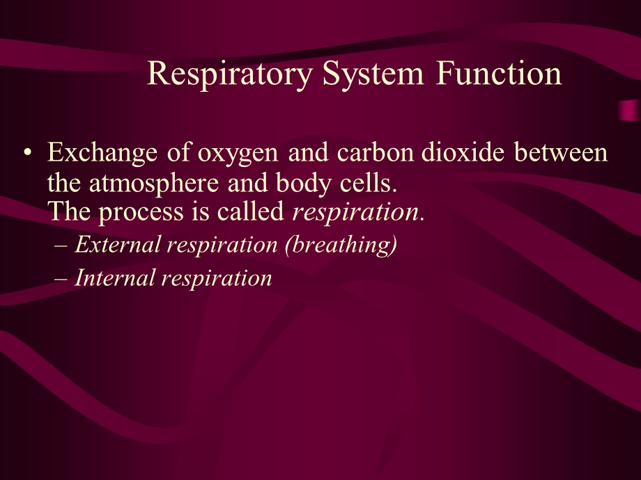 respiratory terminology医学英语.ppt_第3页