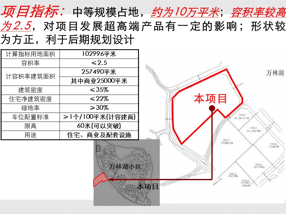 惠州鹏基金榜山项目主题定位报告97p.ppt_第3页