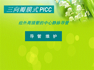 PICC导管维护经外周插管的中心静脉导管.ppt