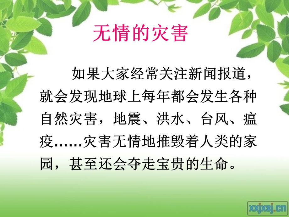 当灾害降临时候.ppt_第2页