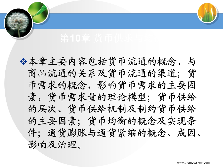 《财政与金融》第十章.ppt_第2页