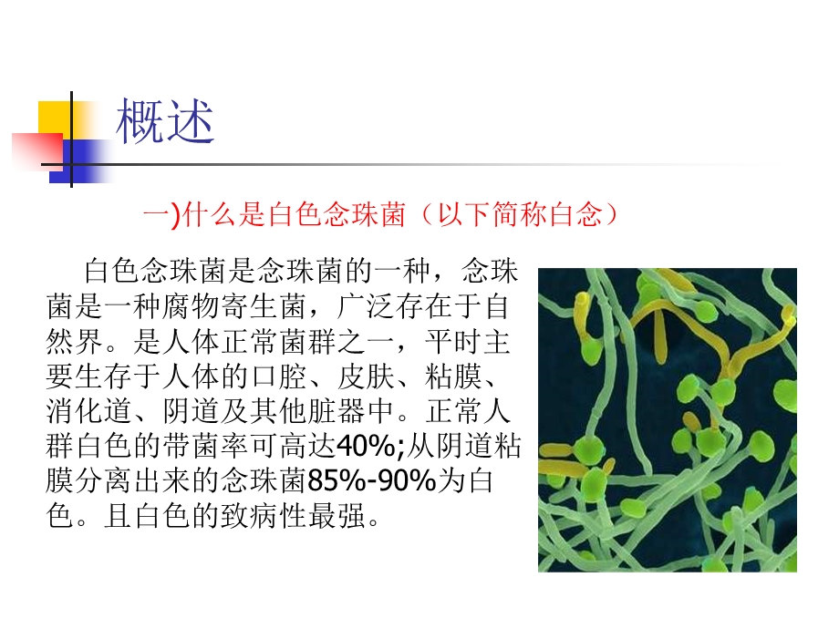 白色念珠菌快速鉴定培养药敏试剂.ppt_第3页