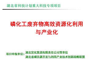 磷化工废弃物高效资源化利用与产业化项目申请汇报.ppt