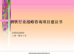 钢铁行业战略咨询项目建议书.ppt