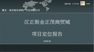 9月武汉汉正街金正茂商贸城项目定位报告151p.ppt