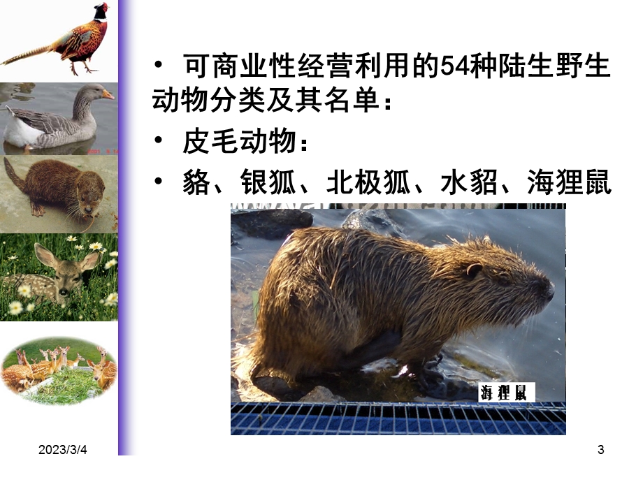 项目一特种动物养殖概述.ppt_第3页