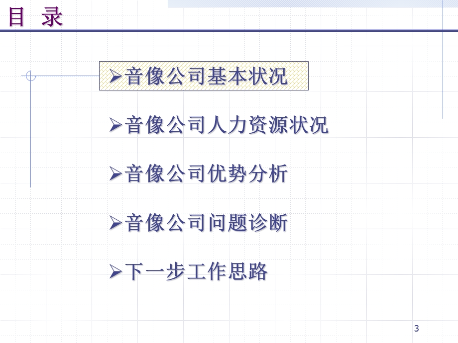 某大型连锁企业人力资源诊断报告（PPT 68页） .ppt_第3页