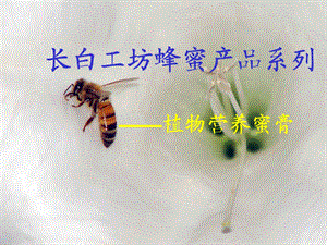 蜂蜜产品植物营养蜜膏培训.ppt