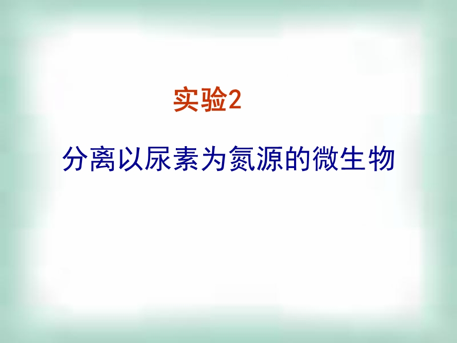 分离以尿素为氮源的微生物.ppt_第1页