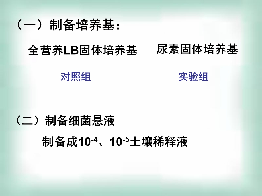 分离以尿素为氮源的微生物.ppt_第2页