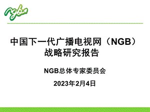 下一代NGB战略研究报告.ppt