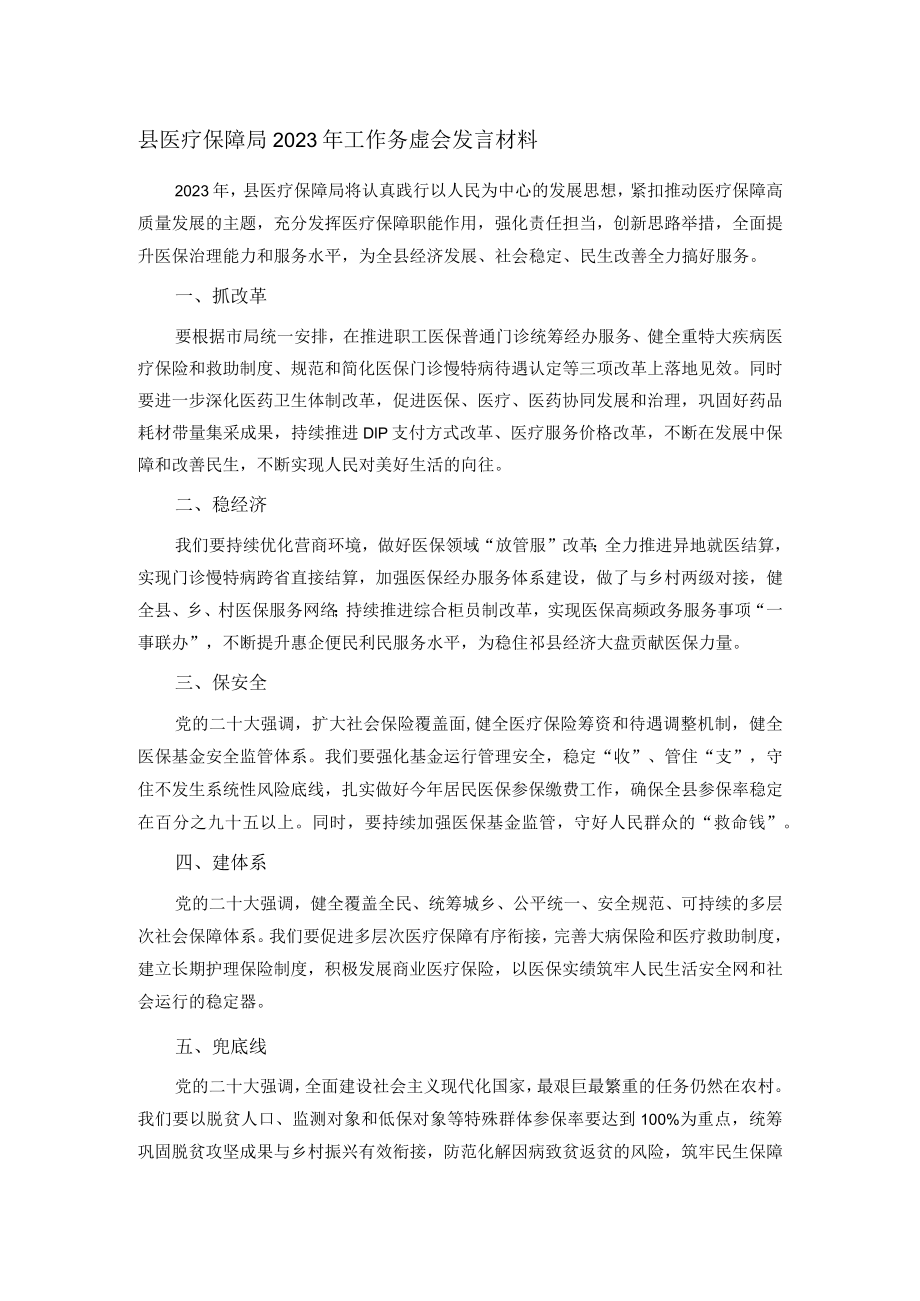 县医疗保障局2023年工作务虚会发言材料.docx_第1页