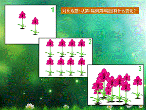 人美版小学美术二级上册《茂密的花》课件（2） 1.ppt