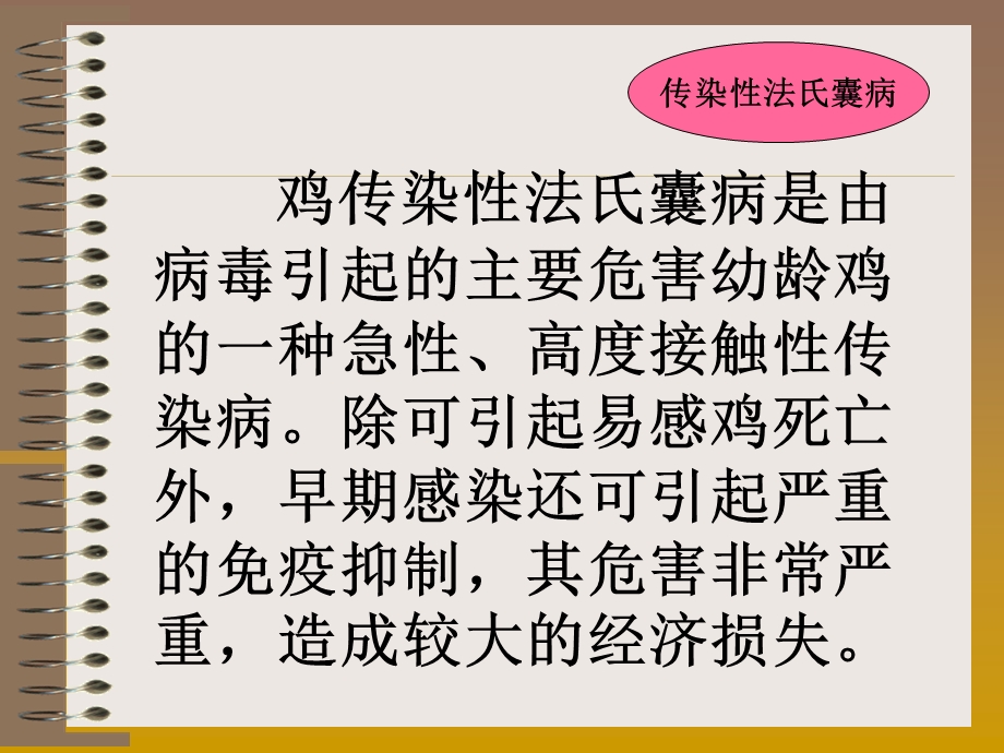 禽病学 禽病临床诊断彩色图谱 07鸡传染性法氏囊病 西南民族大学.ppt_第2页