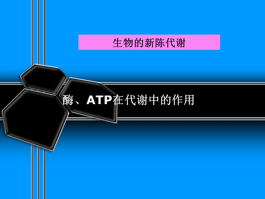 酶、ATP在代谢中的作用.ppt_第1页