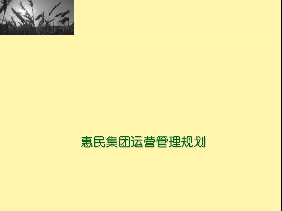 惠民集团运营管理规划.ppt_第1页