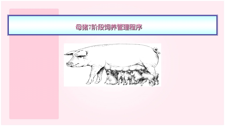 母猪七阶段饲养管理程序.ppt_第1页