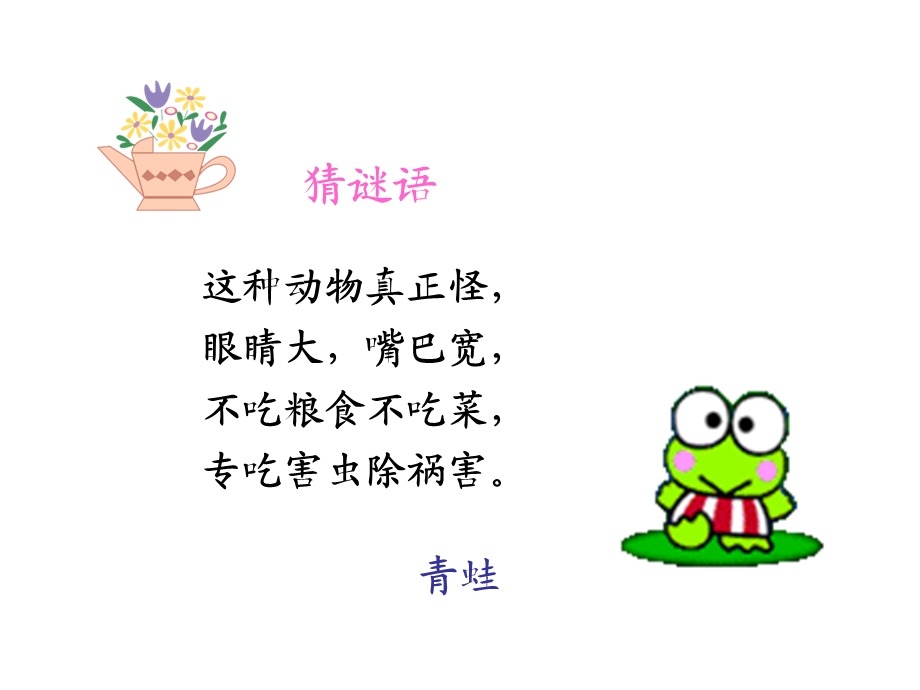 《青蛙看海》小学教学幻灯片.ppt_第1页