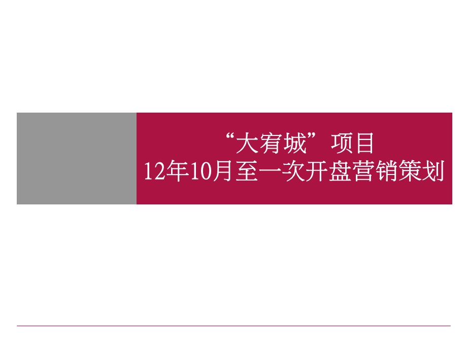 “金领时代”10月至一次开盘营销策划65p.ppt_第1页