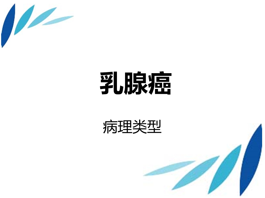 乳腺癌的病理分型.ppt_第1页