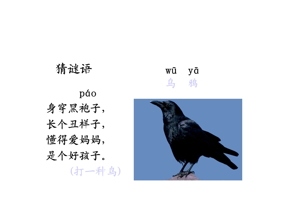 教学课件乌鸦喝水ppt.ppt_第2页