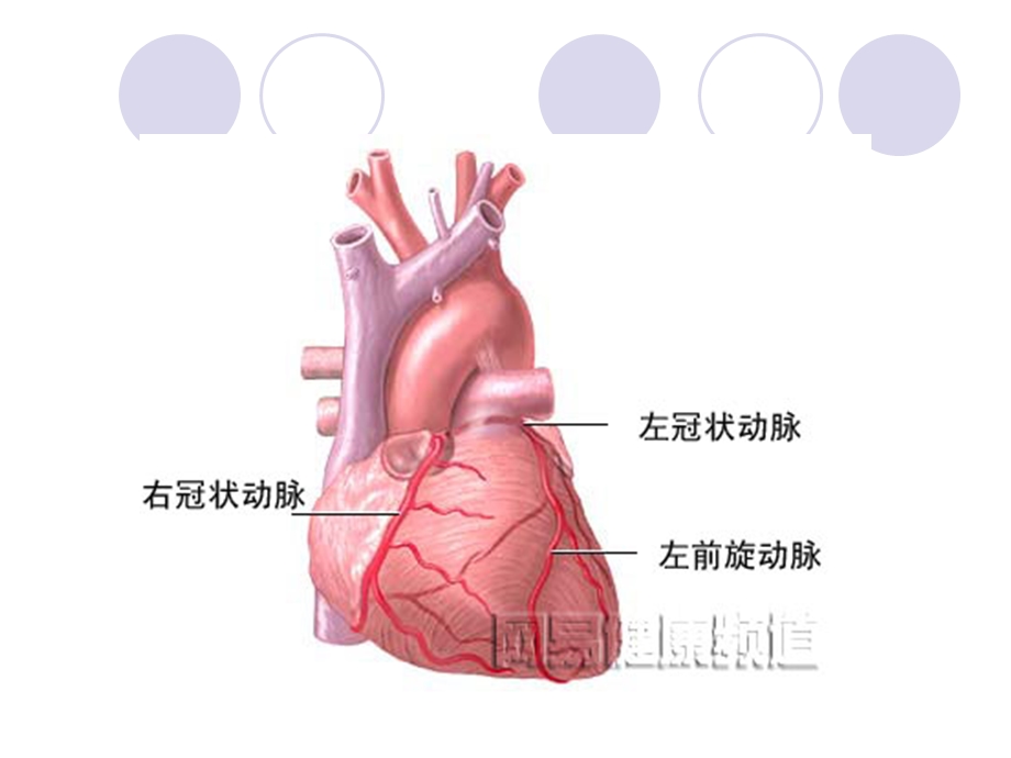 冠状动脉搭桥.ppt_第3页