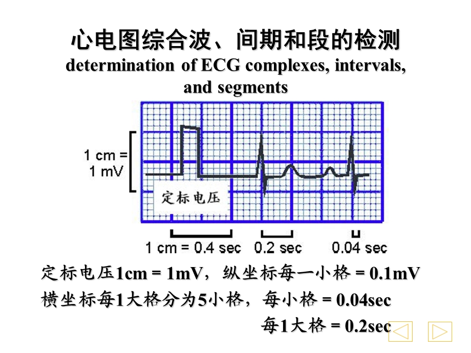 临床心电图教程.ppt_第3页