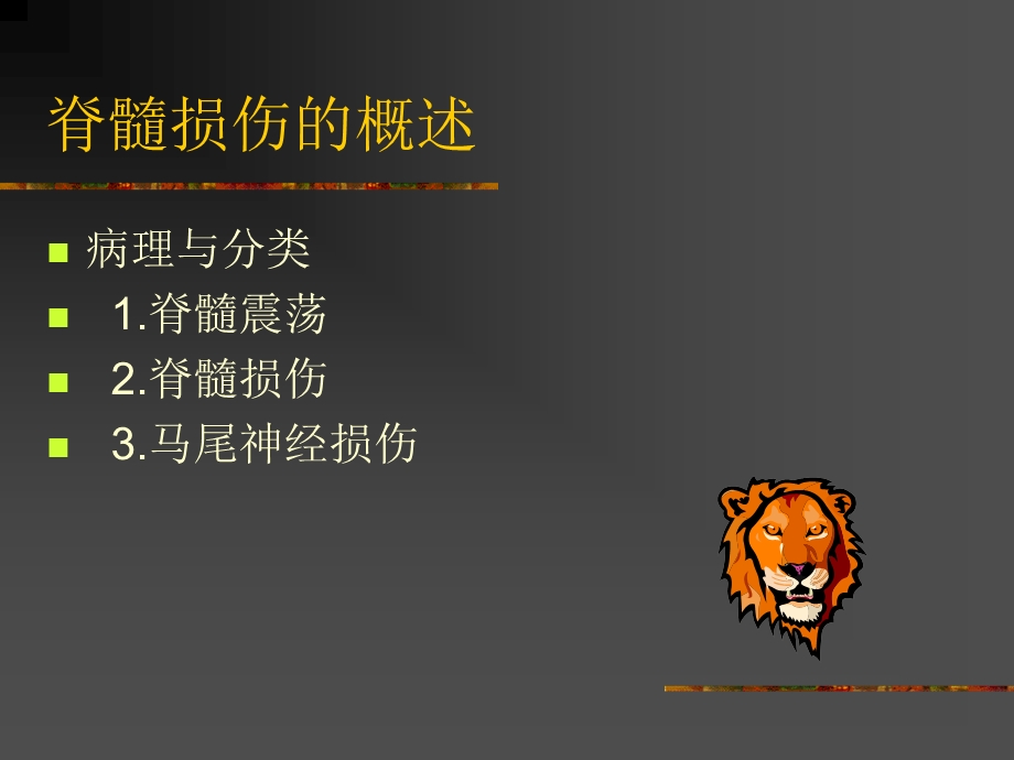 脊髓损伤的护理.ppt_第2页